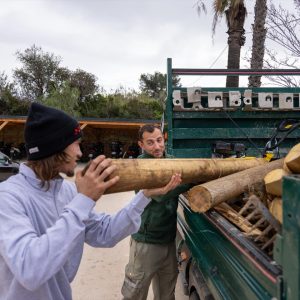 151567_63847670203360036222981209